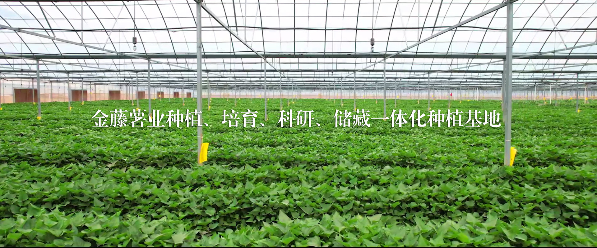 天姿寶服飾